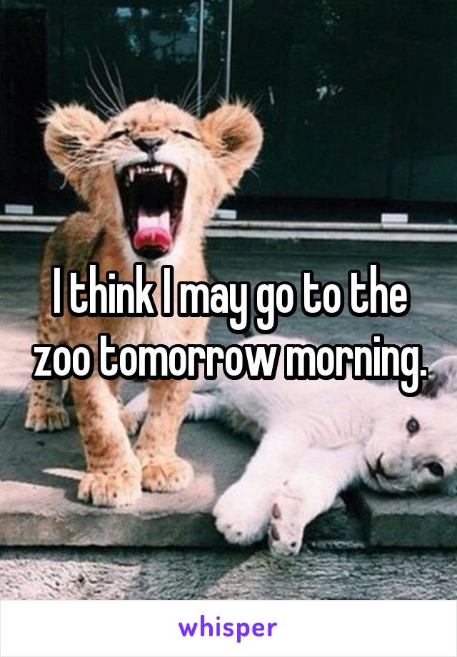 I think I may go to the zoo tomorrow morning.