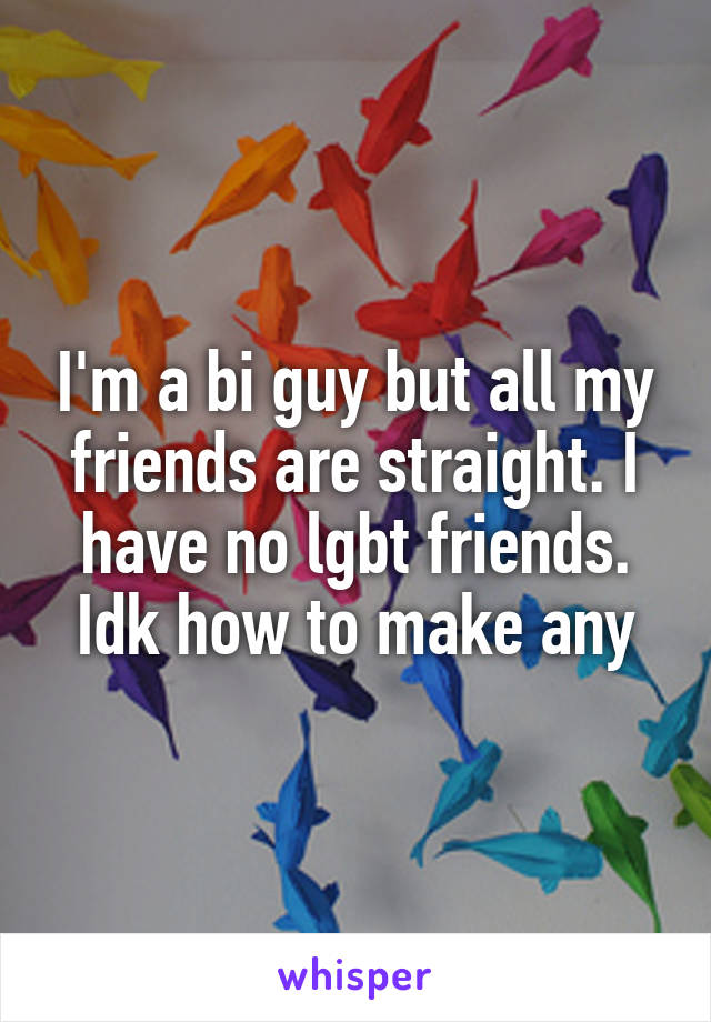 I'm a bi guy but all my friends are straight. I have no lgbt friends. Idk how to make any