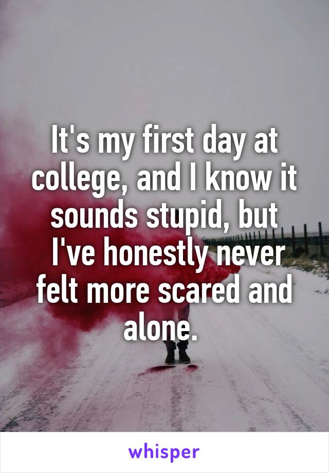 It's my first day at college, and I know it sounds stupid, but
 I've honestly never felt more scared and alone. 