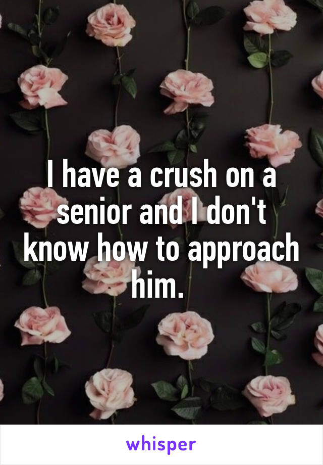 I have a crush on a senior and I don't know how to approach him. 