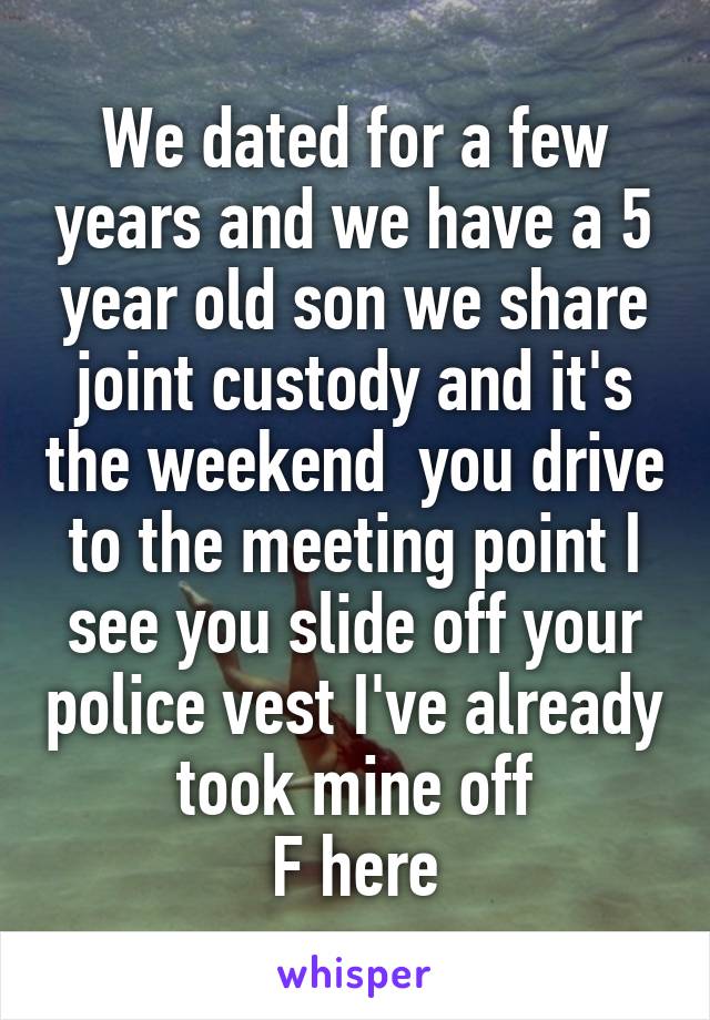 We dated for a few years and we have a 5 year old son we share joint custody and it's the weekend  you drive to the meeting point I see you slide off your police vest I've already took mine off
F here