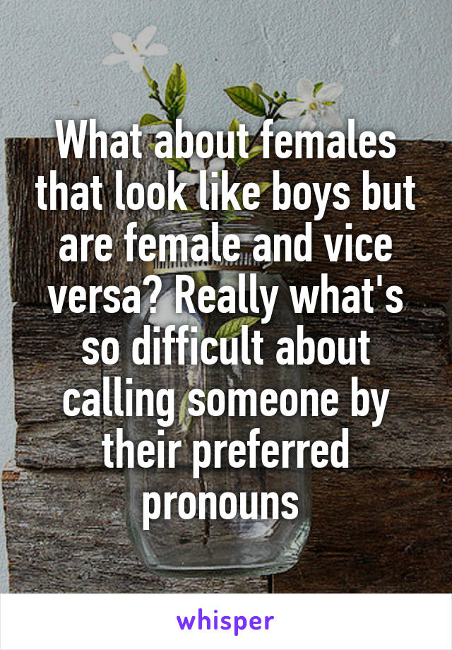 What about females that look like boys but are female and vice versa? Really what's so difficult about calling someone by their preferred pronouns 