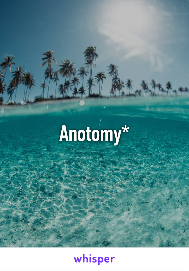 Anotomy*