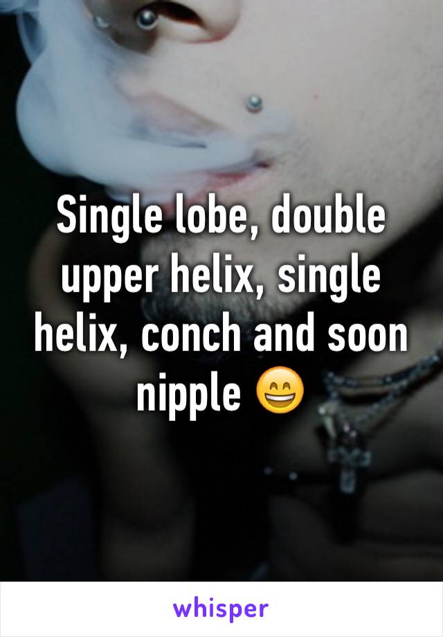 Single lobe, double upper helix, single helix, conch and soon nipple 😄