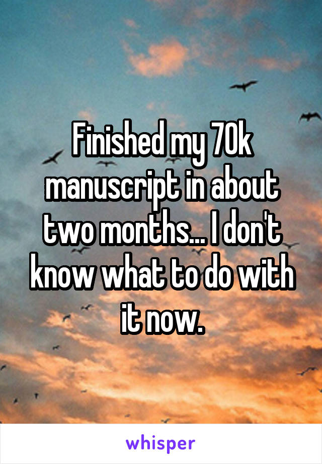 Finished my 70k manuscript in about two months... I don't know what to do with it now.