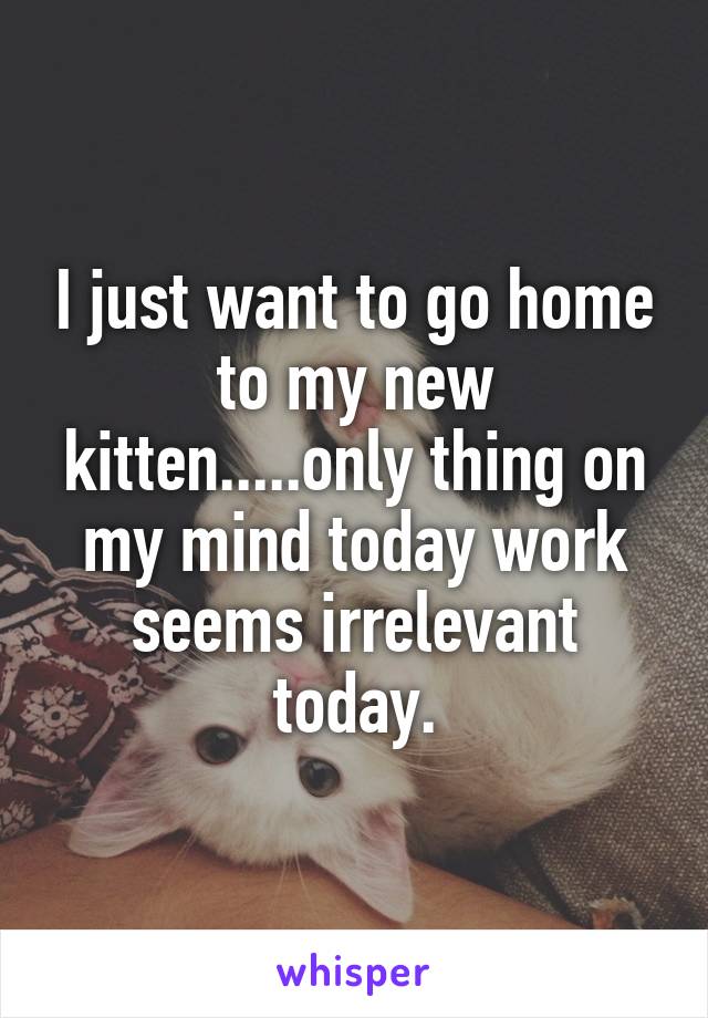 I just want to go home to my new kitten.....only thing on my mind today work seems irrelevant today.