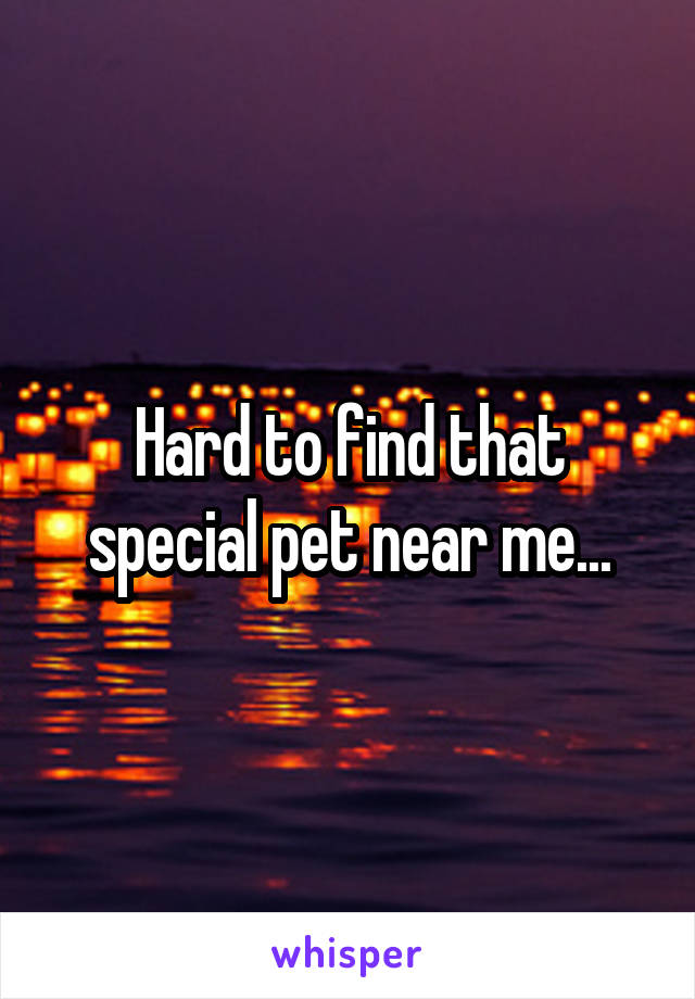 Hard to find that special pet near me...