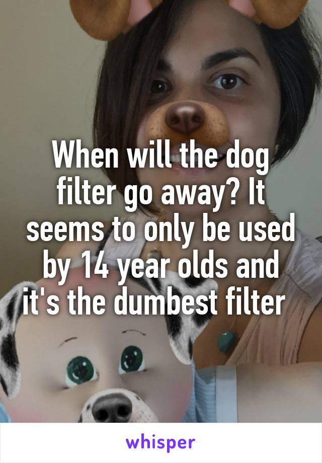 When will the dog filter go away? It seems to only be used by 14 year olds and it's the dumbest filter  