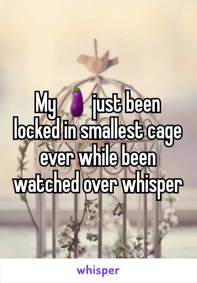 My 🍆just been locked in smallest cage ever while been watched over whisper