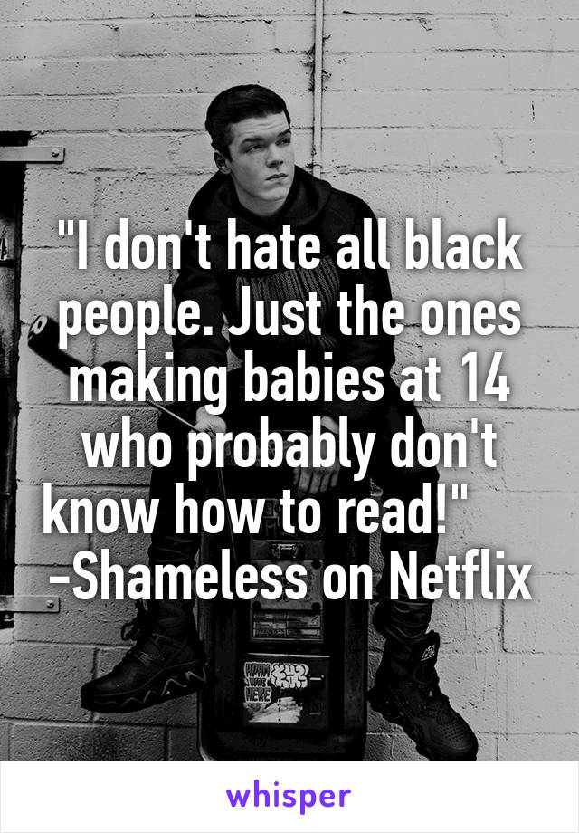 "I don't hate all black people. Just the ones making babies at 14 who probably don't know how to read!"      -Shameless on Netflix