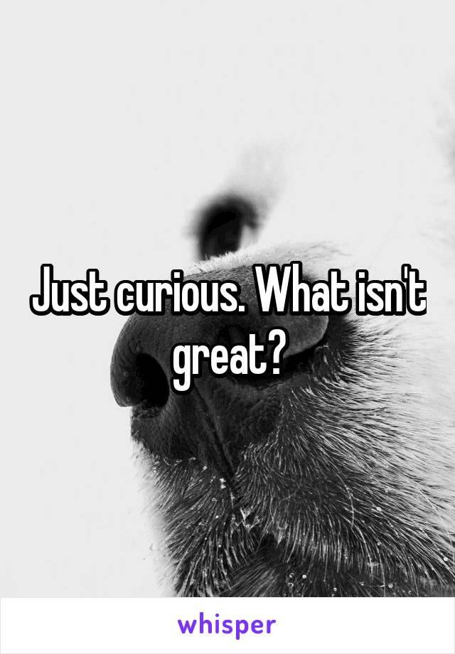 Just curious. What isn't great?