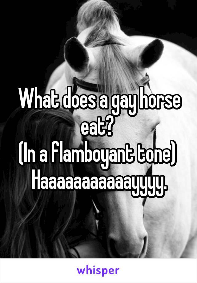 What does a gay horse eat? 
(In a flamboyant tone) 
Haaaaaaaaaaayyyy.