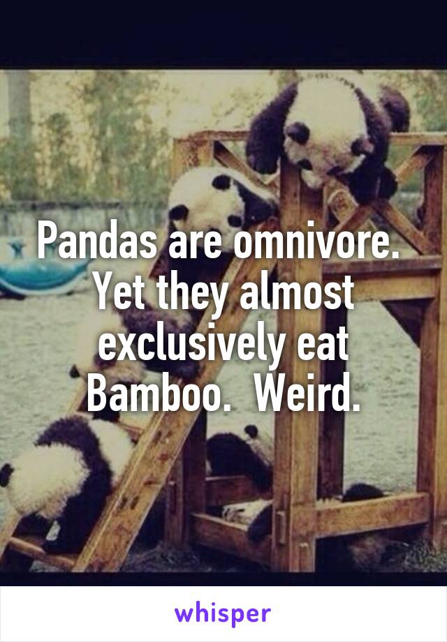 Pandas are omnivore.  Yet they almost exclusively eat Bamboo.  Weird.