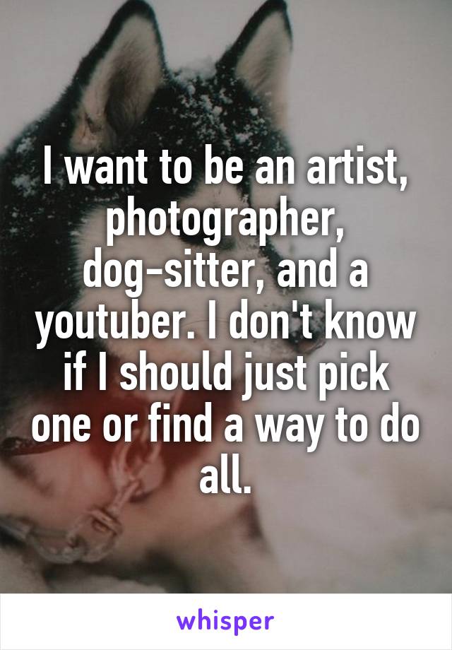 I want to be an artist, photographer, dog-sitter, and a youtuber. I don't know if I should just pick one or find a way to do all.