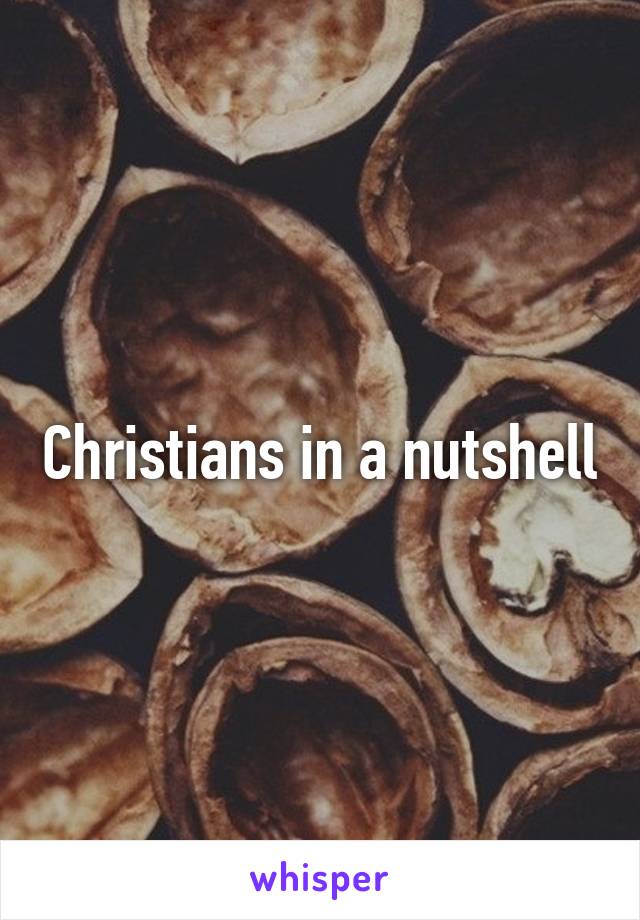 Christians in a nutshell