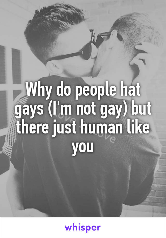 Why do people hat gays (I'm not gay) but there just human like you