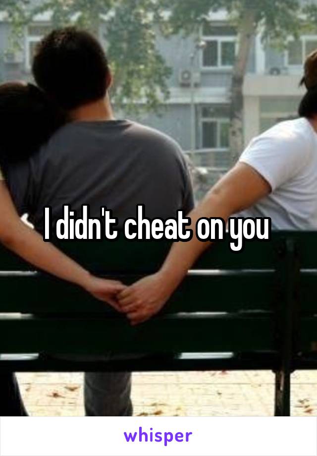 I didn't cheat on you 