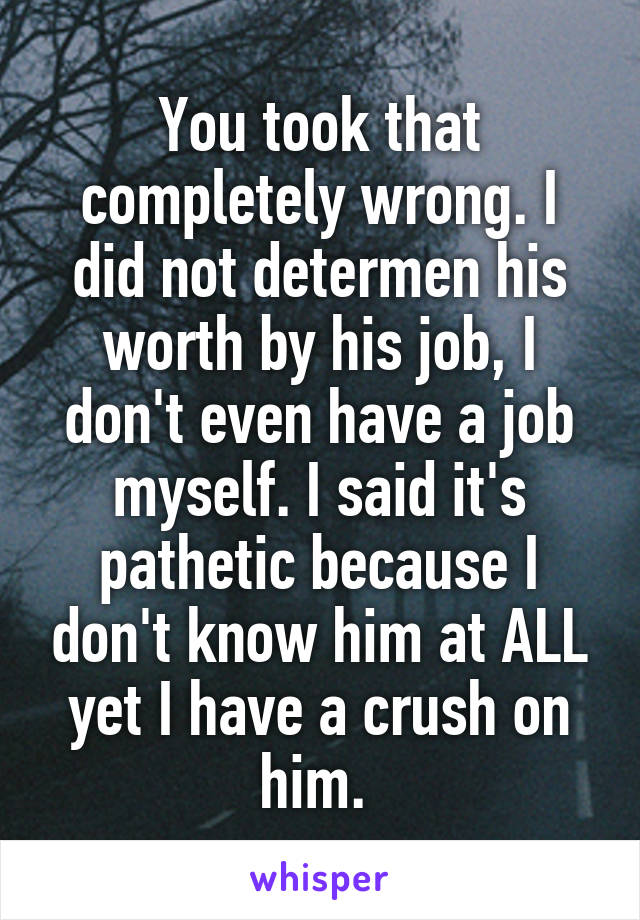 You took that completely wrong. I did not determen his worth by his job, I don't even have a job myself. I said it's pathetic because I don't know him at ALL yet I have a crush on him. 