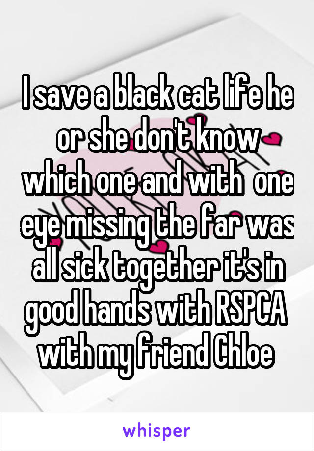 I save a black cat life he or she don't know which one and with  one eye missing the far was all sick together it's in good hands with RSPCA  with my friend Chloe 