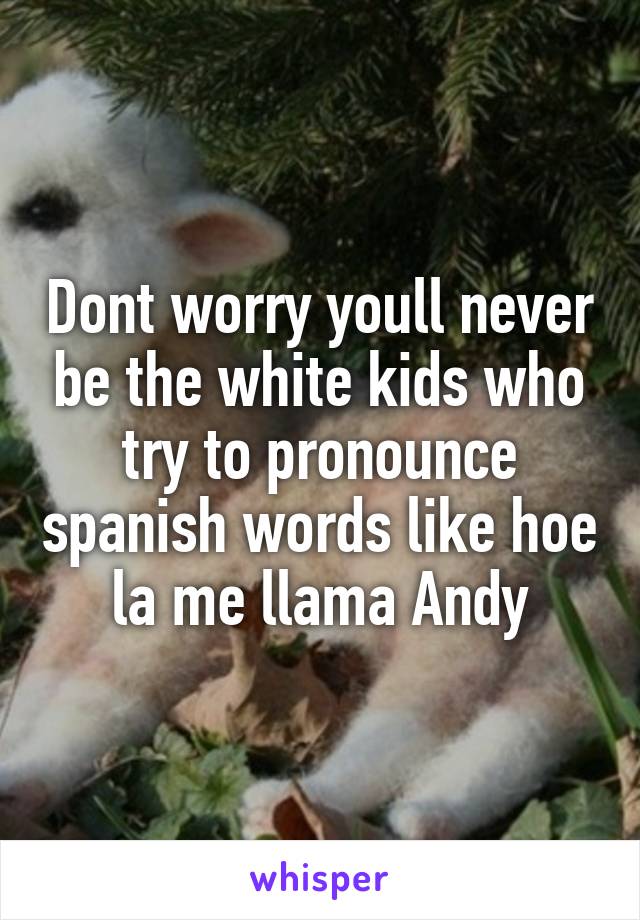 Dont worry youll never be the white kids who try to pronounce spanish words like hoe la me llama Andy