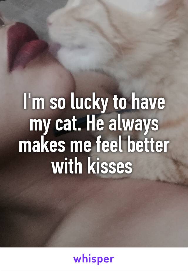 I'm so lucky to have my cat. He always makes me feel better with kisses 