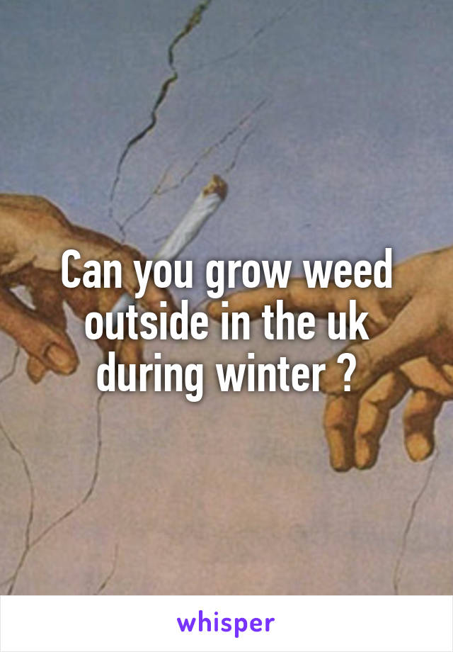 Can you grow weed outside in the uk during winter ?