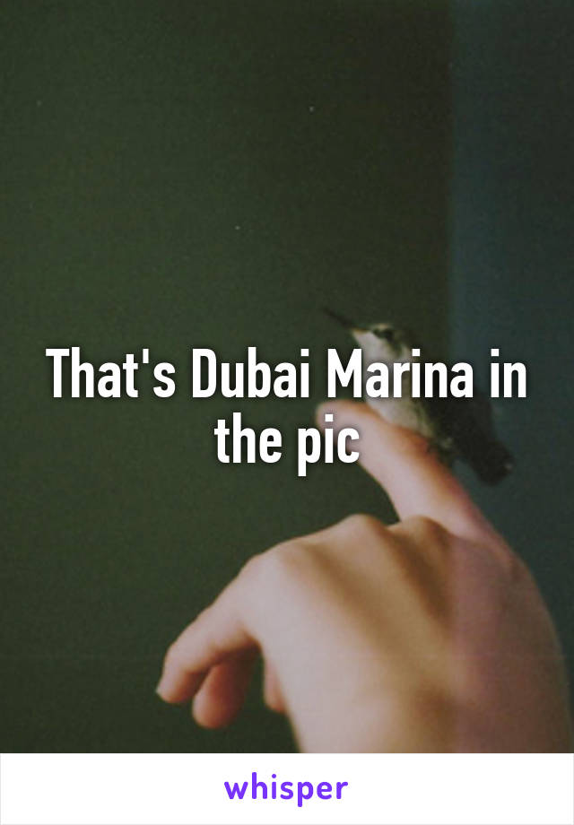 That's Dubai Marina in the pic