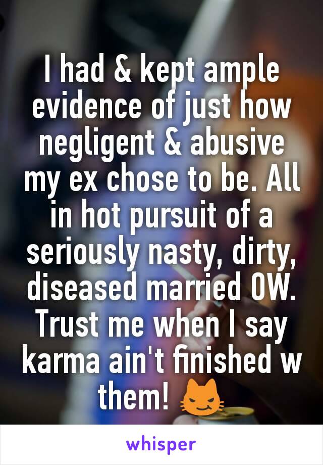 I had & kept ample evidence of just how negligent & abusive my ex chose to be. All in hot pursuit of a seriously nasty, dirty, diseased married OW. Trust me when I say karma ain't finished w them! 😼