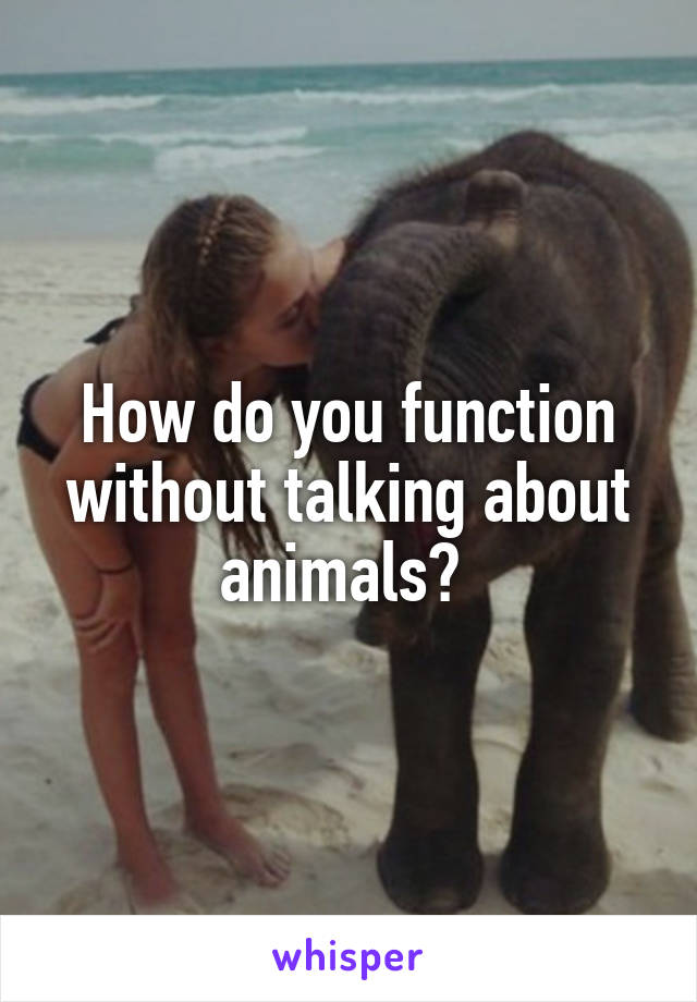 How do you function without talking about animals? 