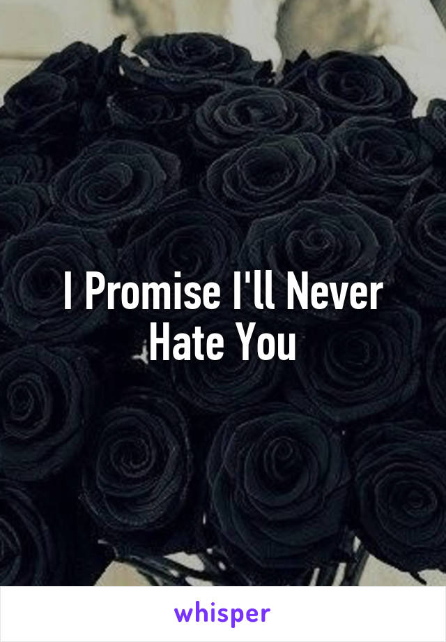 I Promise I'll Never Hate You