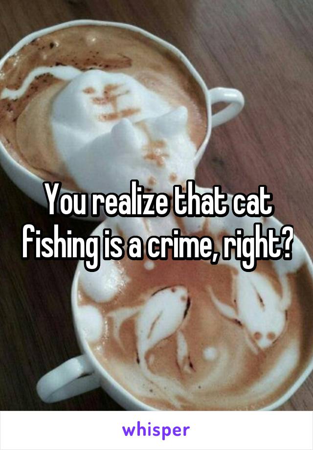 You realize that cat fishing is a crime, right?