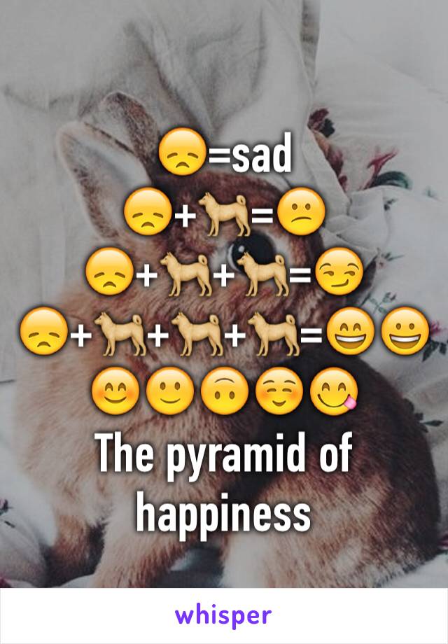 😞=sad
😞+🐕=😕
😞+🐕+🐕=😏
😞+🐕+🐕+🐕=😄😀😊🙂🙃☺️😋
The pyramid of happiness