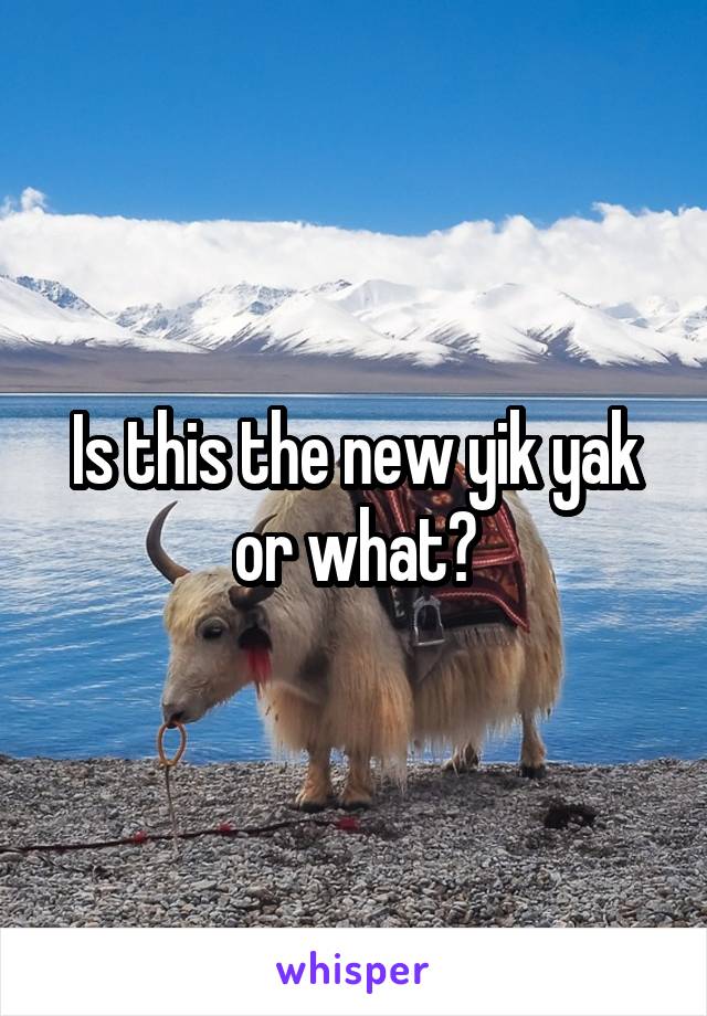 Is this the new yik yak or what?