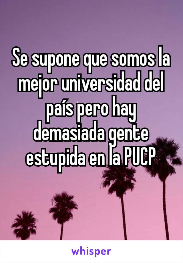 Se supone que somos la mejor universidad del país pero hay demasiada gente estupida en la PUCP