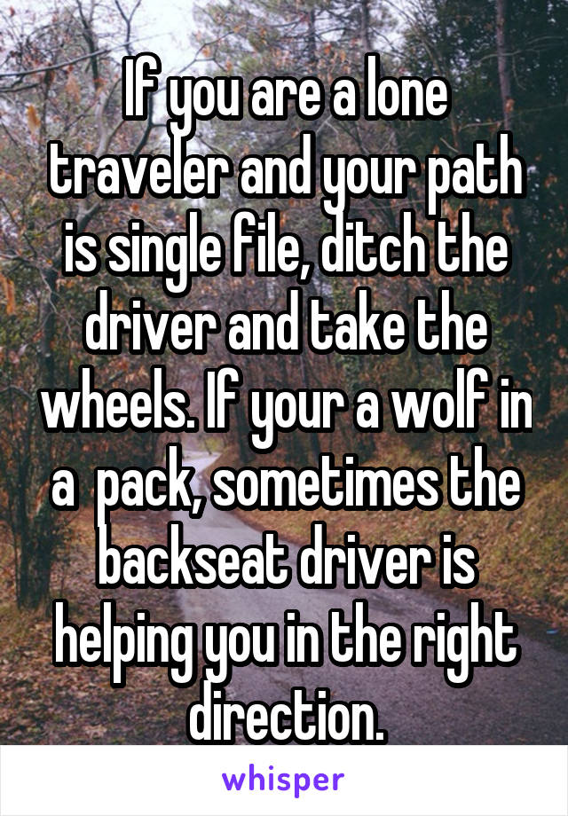 If you are a lone traveler and your path is single file, ditch the driver and take the wheels. If your a wolf in a  pack, sometimes the backseat driver is helping you in the right direction.