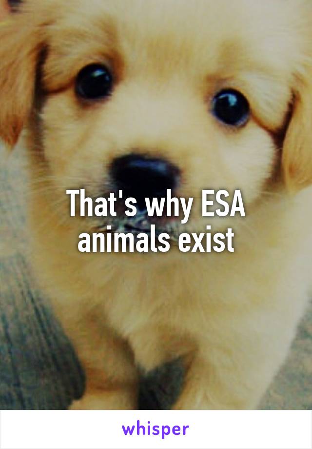 That's why ESA animals exist