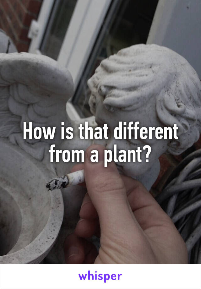 How is that different from a plant?