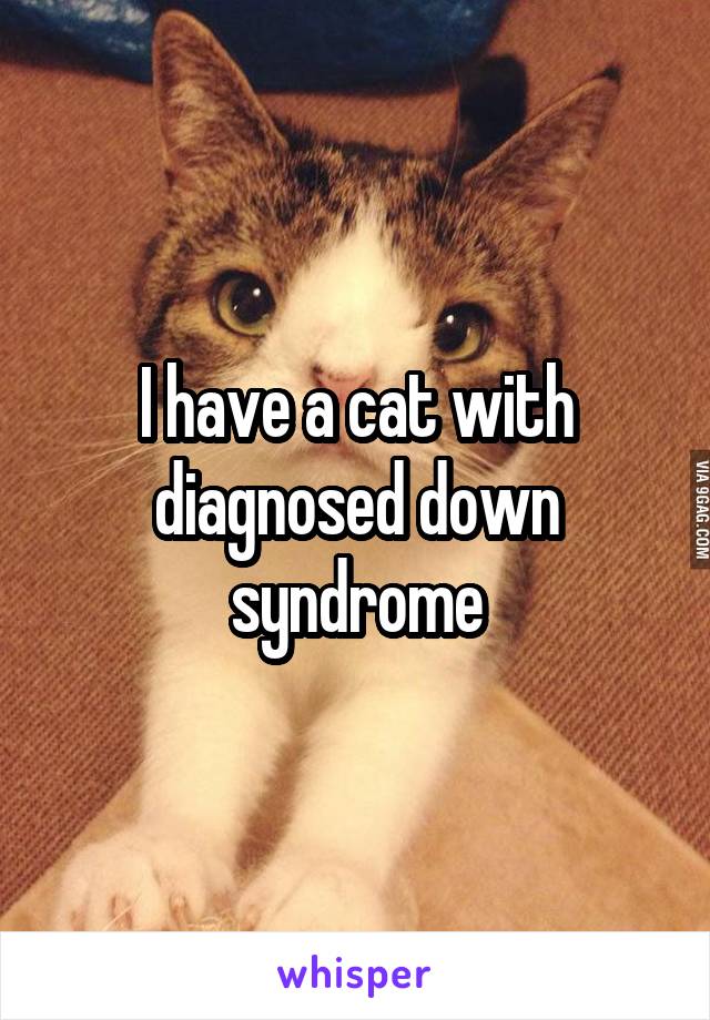 I have a cat with diagnosed down syndrome
