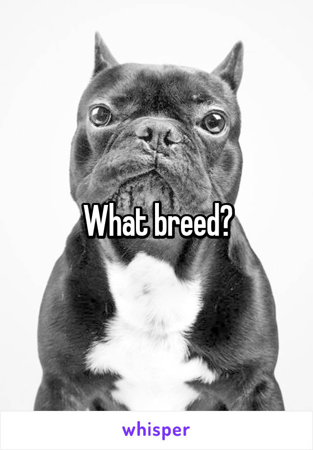 What breed?