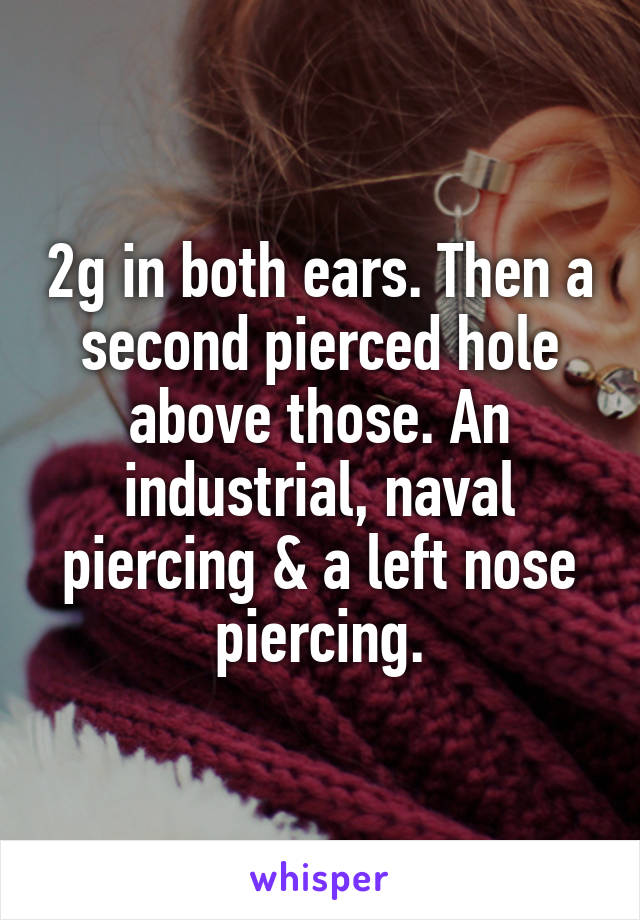 2g in both ears. Then a second pierced hole above those. An industrial, naval piercing & a left nose piercing.