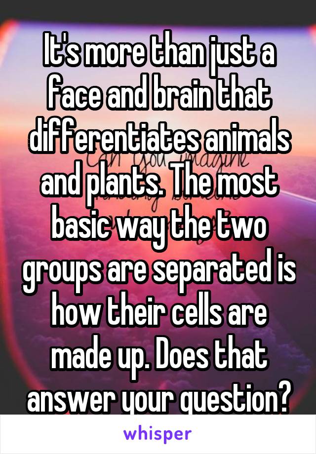 It's more than just a face and brain that differentiates animals and plants. The most basic way the two groups are separated is how their cells are made up. Does that answer your question?