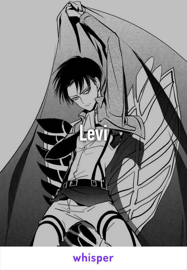 Levi