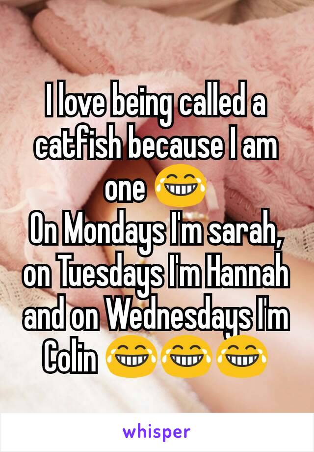 I love being called a  catfish because I am one 😂
On Mondays I'm sarah, on Tuesdays I'm Hannah and on Wednesdays I'm Colin 😂😂😂