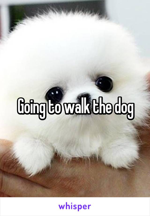 Going to walk the dog