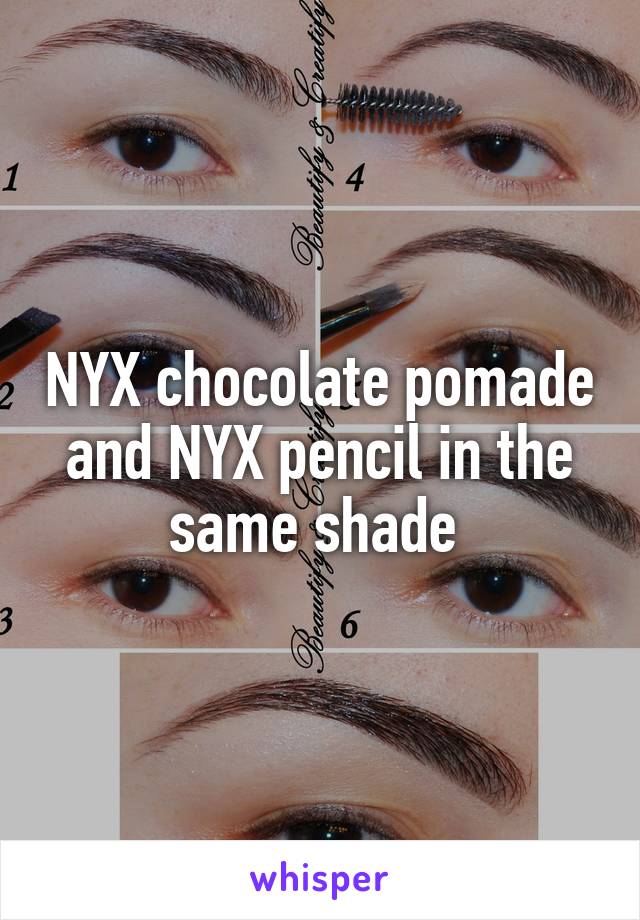 NYX chocolate pomade and NYX pencil in the same shade 