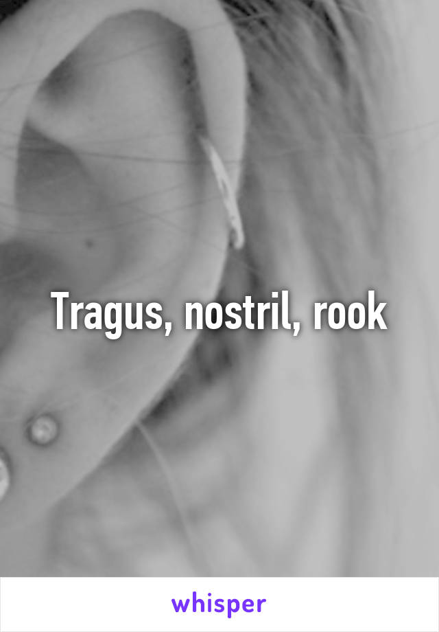 Tragus, nostril, rook