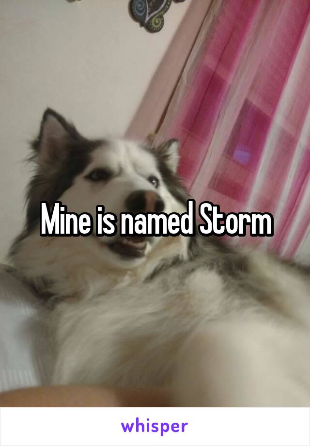 Mine is named Storm