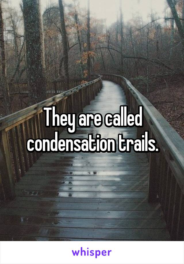 They are called condensation trails.