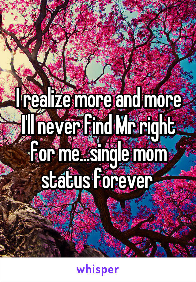 I realize more and more I'll never find Mr right for me...single mom status forever 