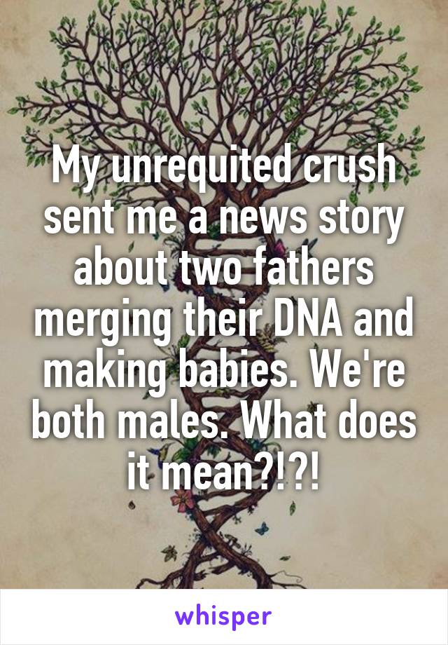 My unrequited crush sent me a news story about two fathers merging their DNA and making babies. We're both males. What does it mean?!?!